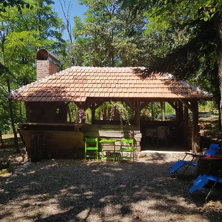 Konaciste Mali Izvor Villa Boljevac Екстериор снимка