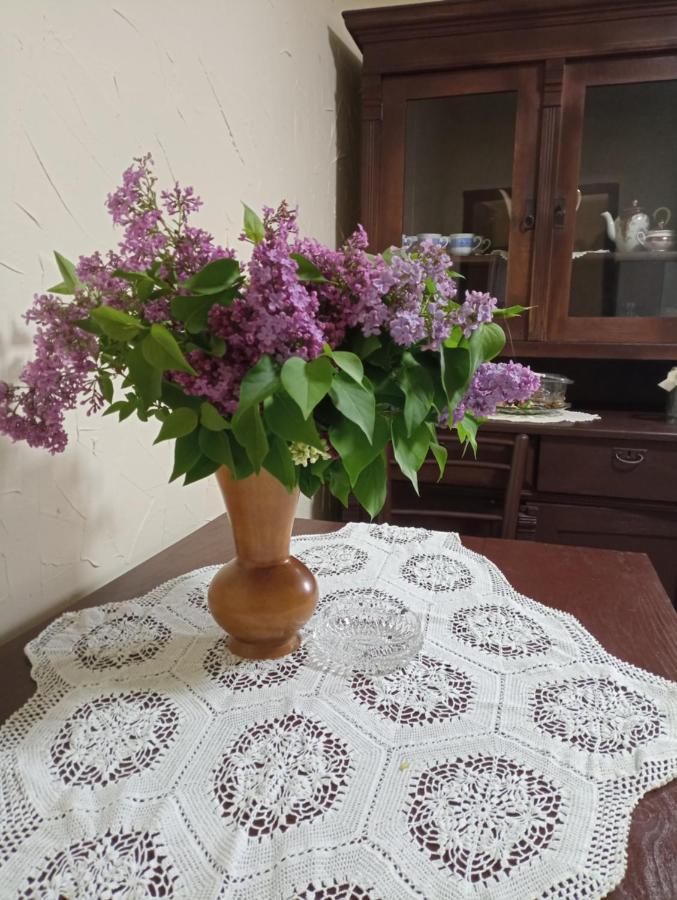 Konaciste Mali Izvor Villa Boljevac Екстериор снимка