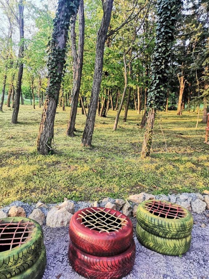 Konaciste Mali Izvor Villa Boljevac Екстериор снимка