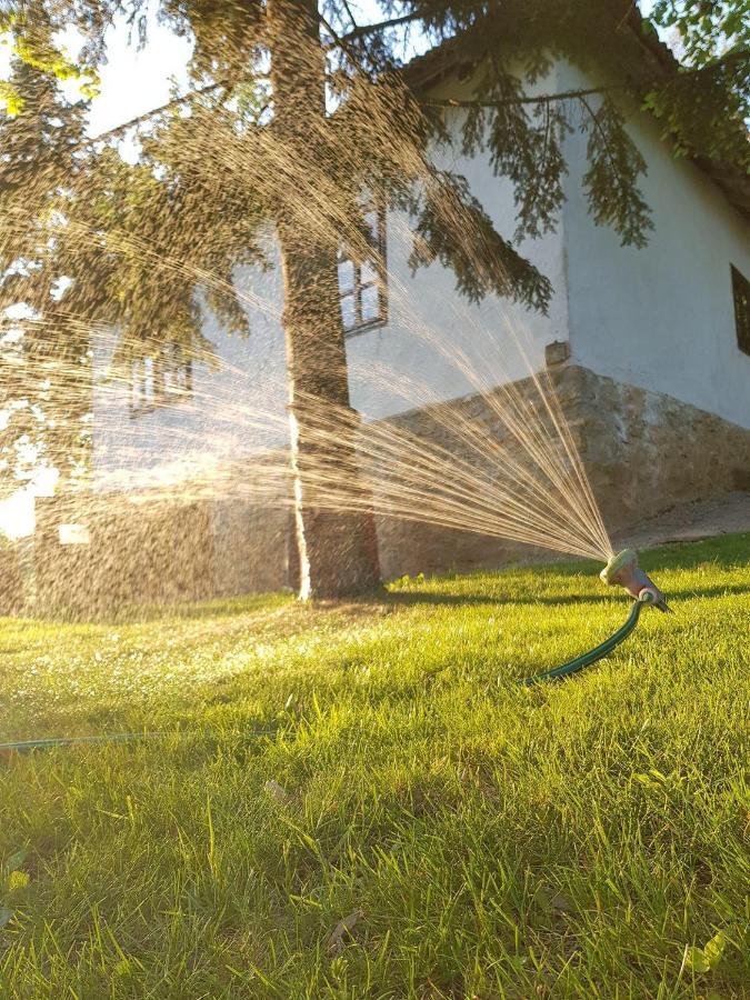 Konaciste Mali Izvor Villa Boljevac Екстериор снимка