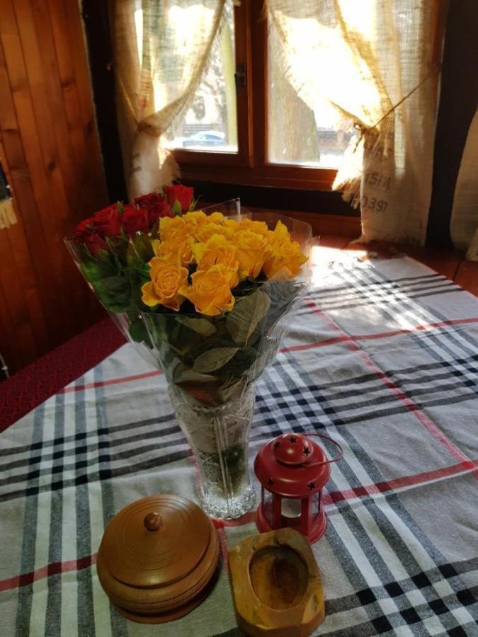 Konaciste Mali Izvor Villa Boljevac Екстериор снимка