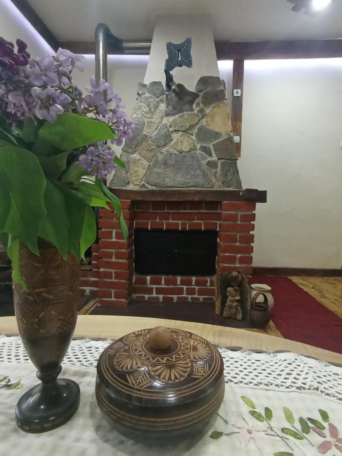 Konaciste Mali Izvor Villa Boljevac Екстериор снимка