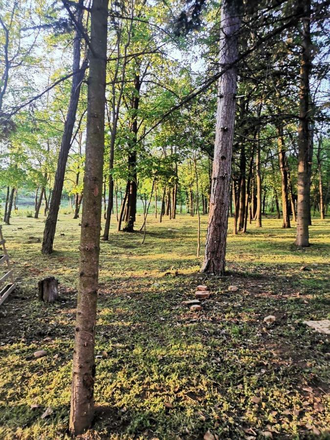 Konaciste Mali Izvor Villa Boljevac Екстериор снимка