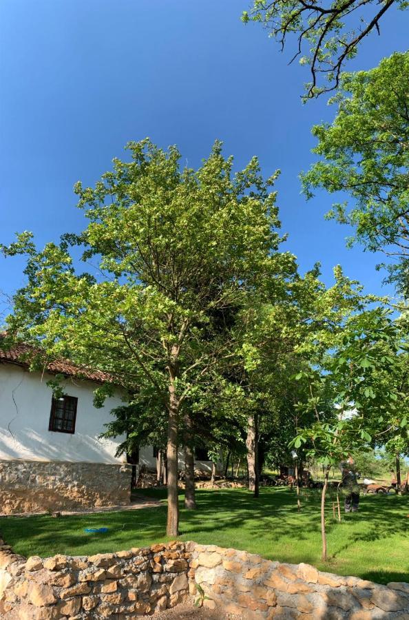 Konaciste Mali Izvor Villa Boljevac Екстериор снимка
