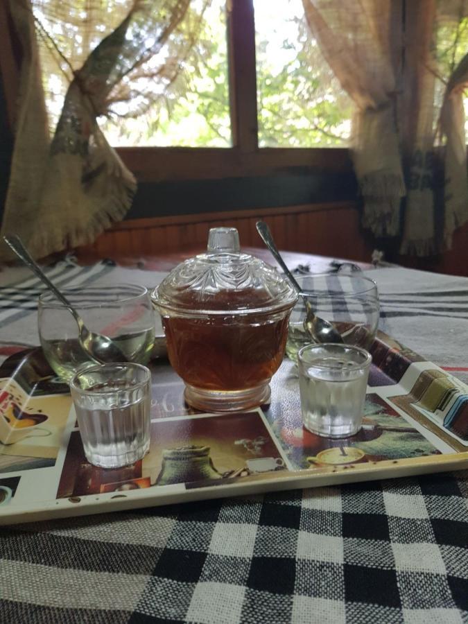 Konaciste Mali Izvor Villa Boljevac Екстериор снимка