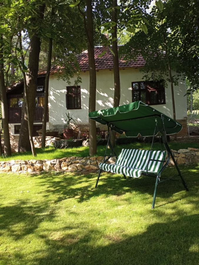 Konaciste Mali Izvor Villa Boljevac Екстериор снимка