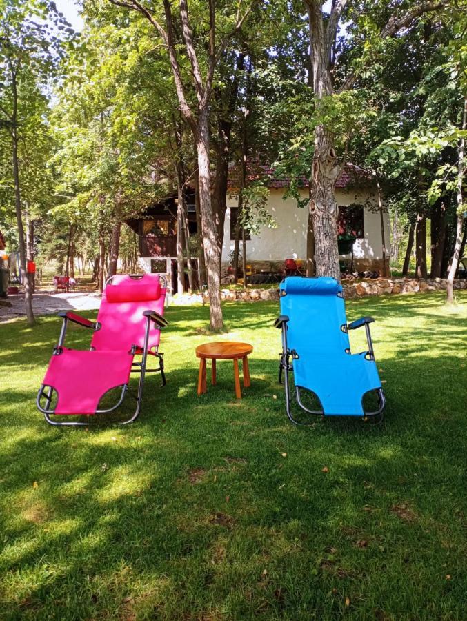 Konaciste Mali Izvor Villa Boljevac Екстериор снимка
