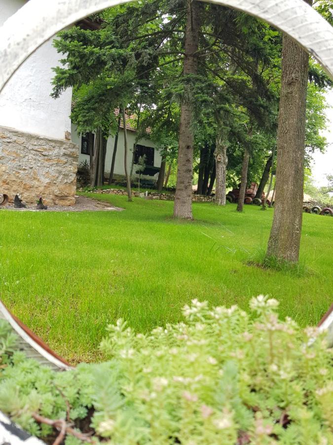 Konaciste Mali Izvor Villa Boljevac Екстериор снимка