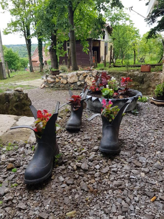 Konaciste Mali Izvor Villa Boljevac Екстериор снимка