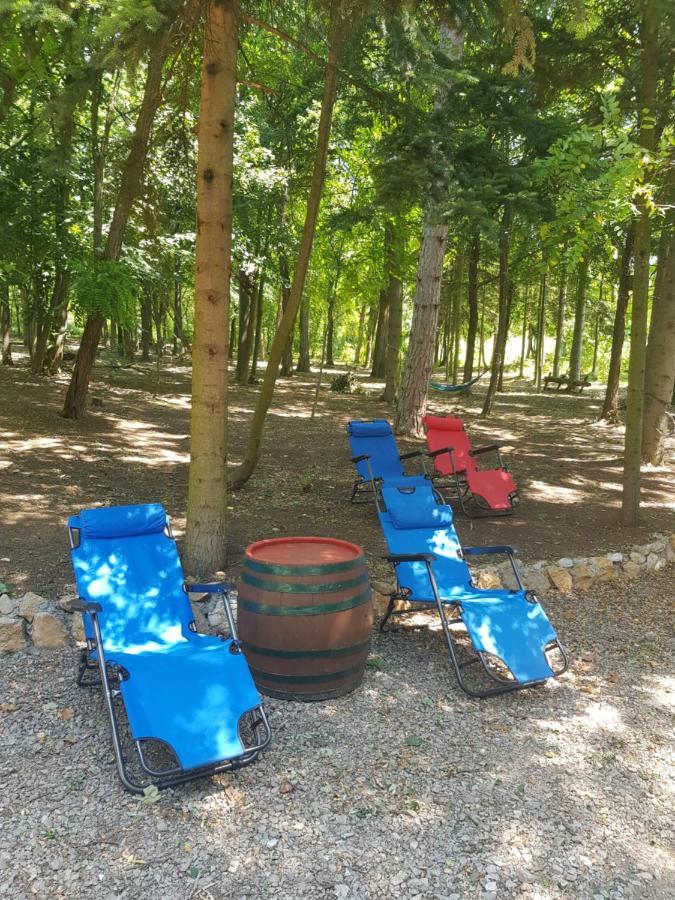 Konaciste Mali Izvor Villa Boljevac Екстериор снимка
