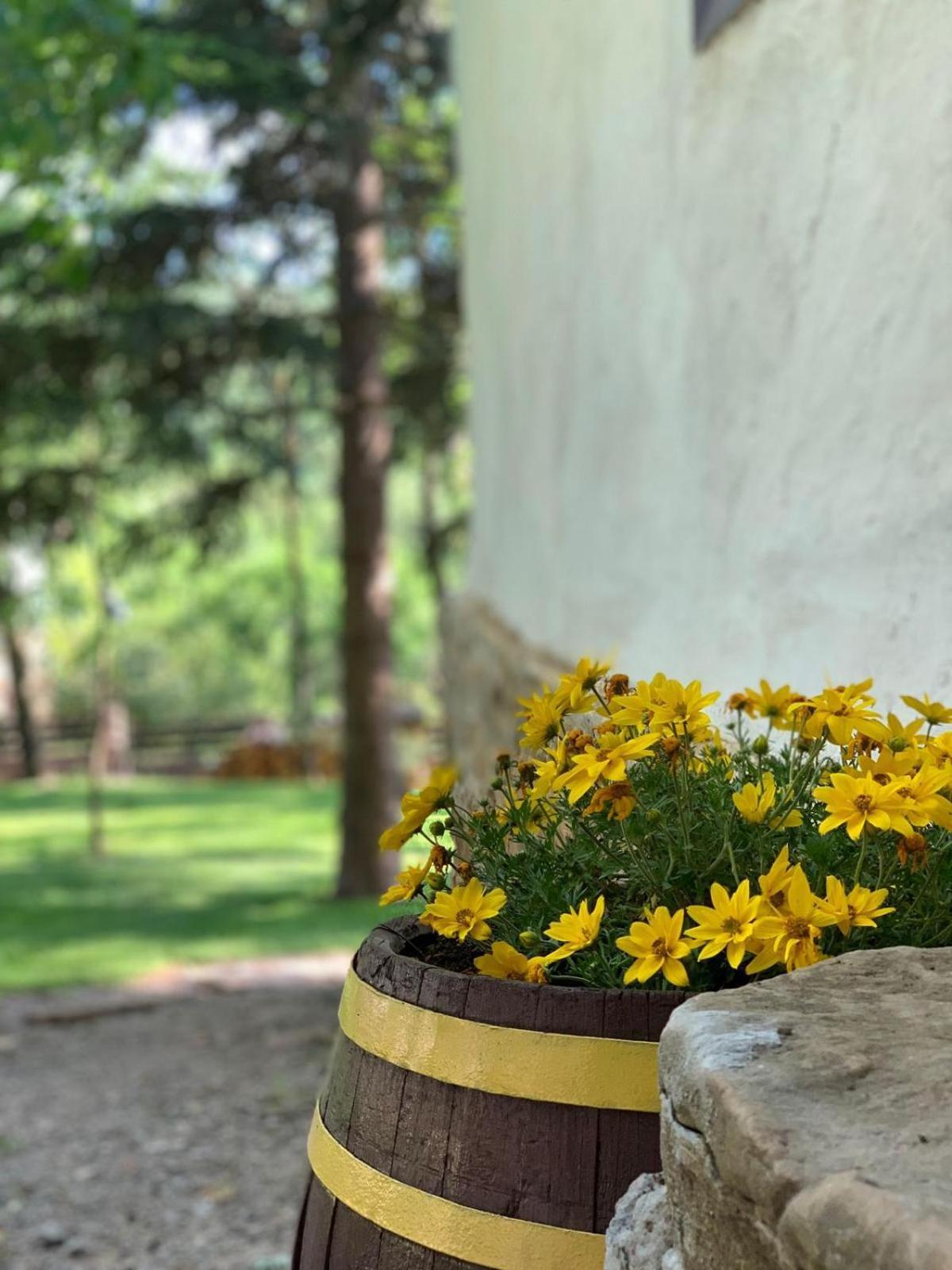 Konaciste Mali Izvor Villa Boljevac Екстериор снимка